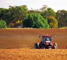 ) 95% from rumen emissions; 5% manure management (intensive livestock) Nitrous Oxide 77% of Australia s