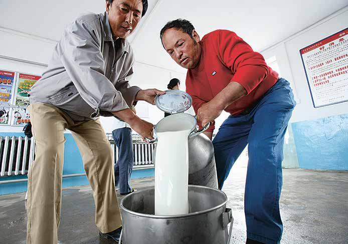 We buy fresh milk through our milk district model from about 40 000 Chinese farmers.
