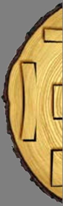 Basic Wood Shrinkage Theory Moisture changes cause dimensional