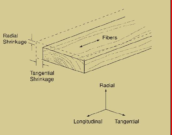 Basic Wood Shrinkage Theory Shrinkage in lumber expected ACROSS the