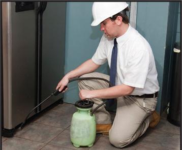 Dry Storage-Pest Control and Monitoring Openings must be sealed and structural cracks and crevices must