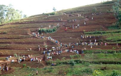 Radical Terraces Rwanda - Amaterasi y'indinganire Locally referred to as radical terracing, the method involves earth moving operations that create reverse-slope bench terraces which have properly