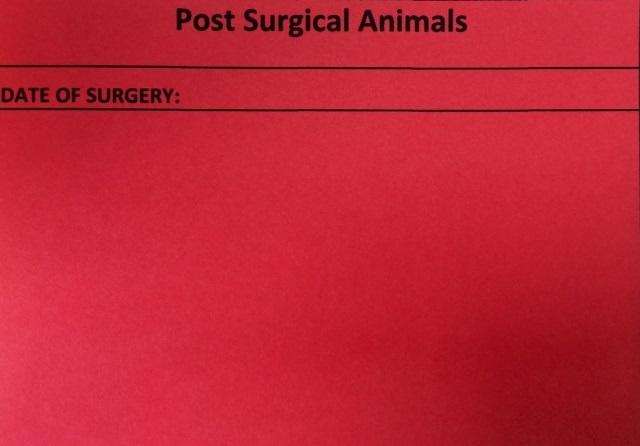 Appendix B: Surgery Post Op cage cards for