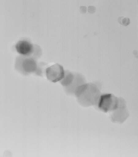 Appendix F TEM Micrographs of Samples Taken at