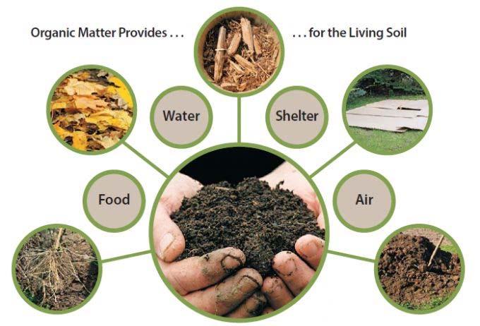 Organic matter (OM): Lower OM content indicates the presence of an inorganic component such as sand, clay, silt or man-made materials such as