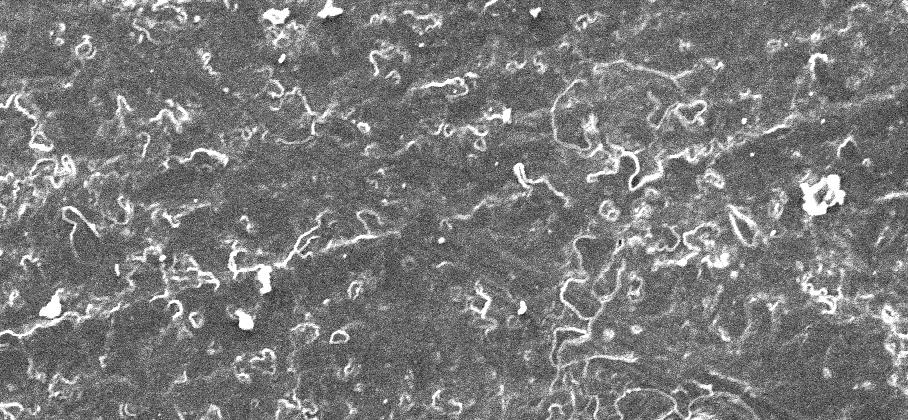 Application example Degreasing of metal surfaces reference (about 100 x 200 µm) plasma