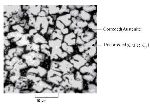 Sabet at al. - Effect of Volume Fraction of (r,fe) 7 3 arbides on orrosion... 113 Fig.3 Optical micrograph of surface corroded of the sample with hypereutectic microstructure.