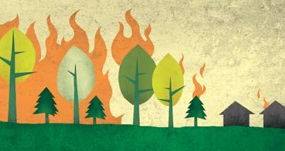 F I R E W I S E C O M M U N I T I E S How Homes Ignite Wildfires are much less likely to ignite a home if the home has been prepared with simple landscaping, construction, and maintenance methods