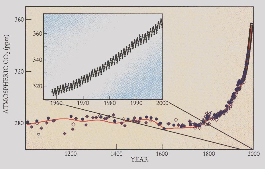CO 2 levels have increased since the Industrial