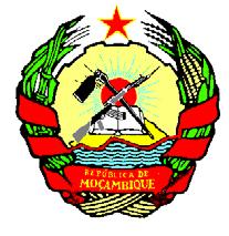 IEEJ:August 2015 REPUBLIC OF MOÇAMBIQUE MINISTRY OF MINERAL RESOURCES AND ENERGY MOZAMBIQUE REPORT