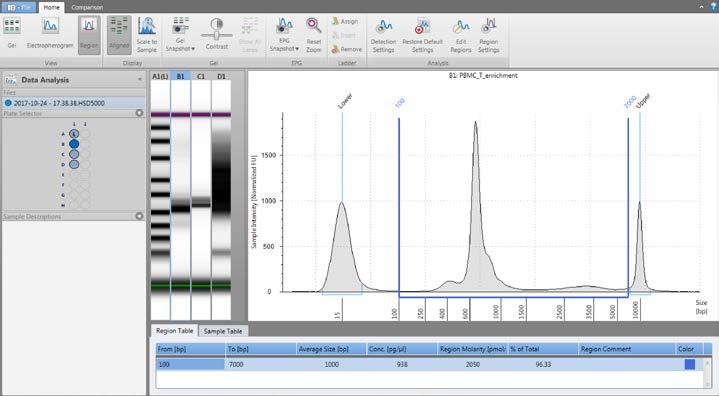 PRACTICAL TIPS & TROUBLESHOOTING b) To determine the product yield per sample, under the Region view choose the Edit Regions tab on the TapeStation Analysis Software.