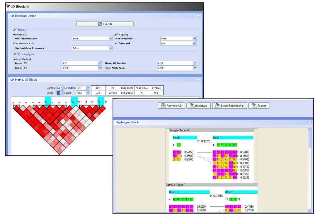 EM algorithm can analyze more than 25 SNPs. Reconstructed haplotypes are displayed in an integrated interface (Figure 2).