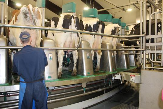 3 in Australia with voluntary milking Complete ics on Rotary Platforms Two GEA ProQ rotaries in British Columbia This one is