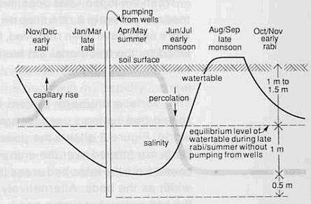 Pumping from the wells in the dry season can lower the dept the water table to a depth of 2 to 2.5 m below the soil surface (Figure 6). This depth is greater than the usual 1 to 1.