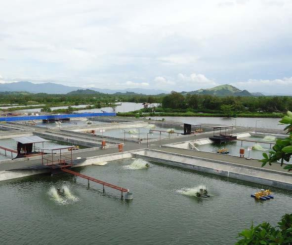 Cabadbaran Aquatech Resources Corp Japanese feed utilized JAS (Japan Agricultural