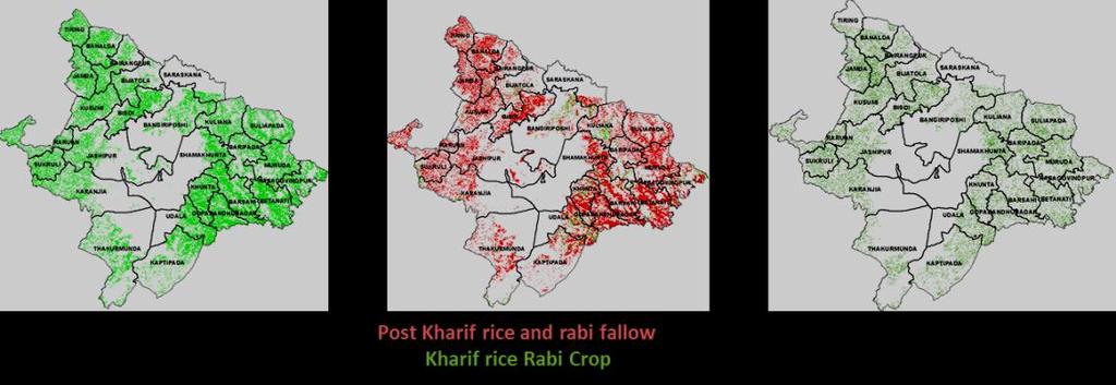 Rabi Crops