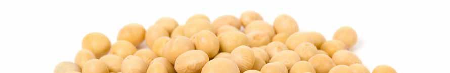 Quarry Seed is Western Canada s premier seed distributor focusing on exclusive soybean genetics as well as added value crop inputs.