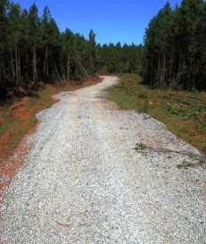 RIGHT: freshly re-graded road, no real BMPs applied: So What?