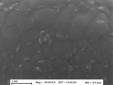stable than copper oxides, on the powder surface can