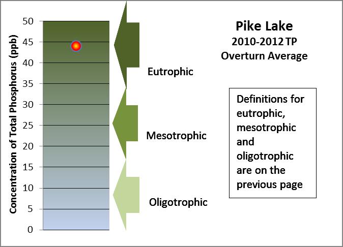 Pike Lake Water Quality Phosphorus is a major nutrient that can lead to excessive algae and rooted aquatic plant growth in lakes.
