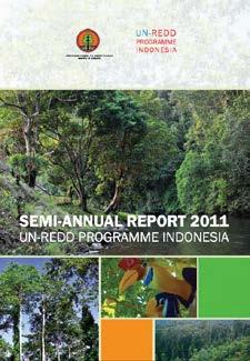 Indonesia A collaboration between the UN-REDD Programme (FAO, UNDP, UNEP) and Ministry of Forestry of Republic of Indonesia Budget : USD 5.