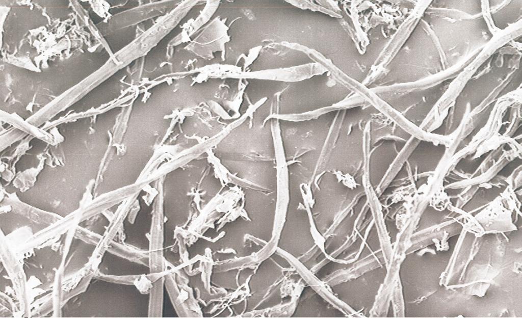 RHENOGRAN WP CELLULOSE FIBERS In Rhenogran WP, cellulose fiber pulp enables the reinforcement of finished products made of polymers such as EPDM, SBR, NR and PVC.