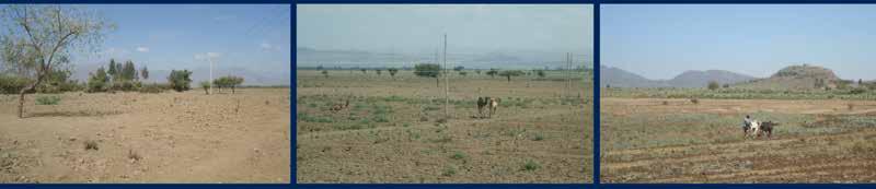 Agriculture Knowledge, Learning, Documentation and Policy (AKLDP) Project Field Notes January 2016 El Niño in Ethiopia Early impacts of drought in South Tigray Zone Introduction In September 2015 an