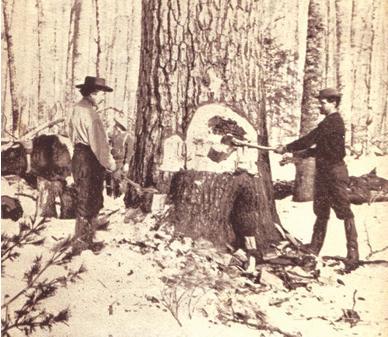 Early logging era Most work done by hand: