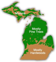 Review of pre-settlement forests Upper Peninsula: Mixed forests of pine, spruce, and hardwoods Northern Lower