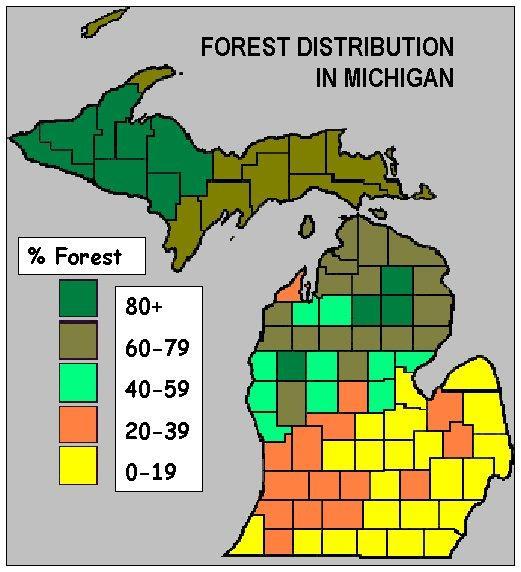 Michigan s forests today