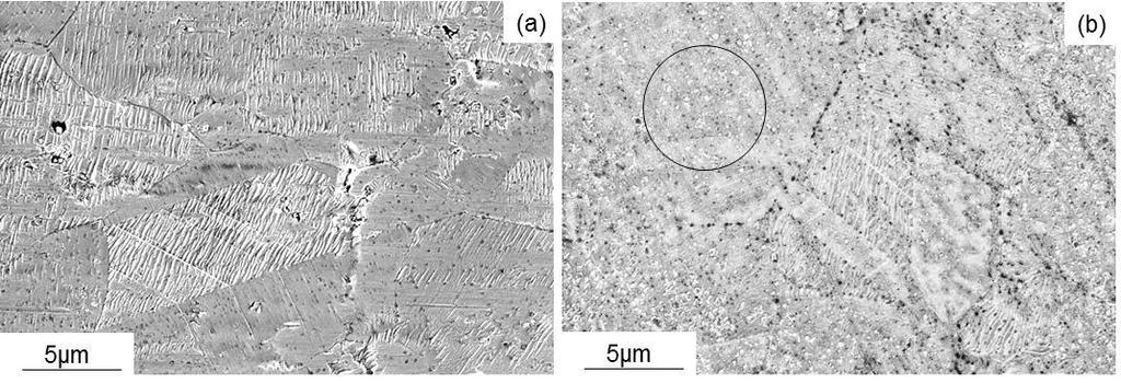thickness. Ziemniak et al. 12 observed a native oxide layer of 1-2nm on an electropolished surface and a machined sample.