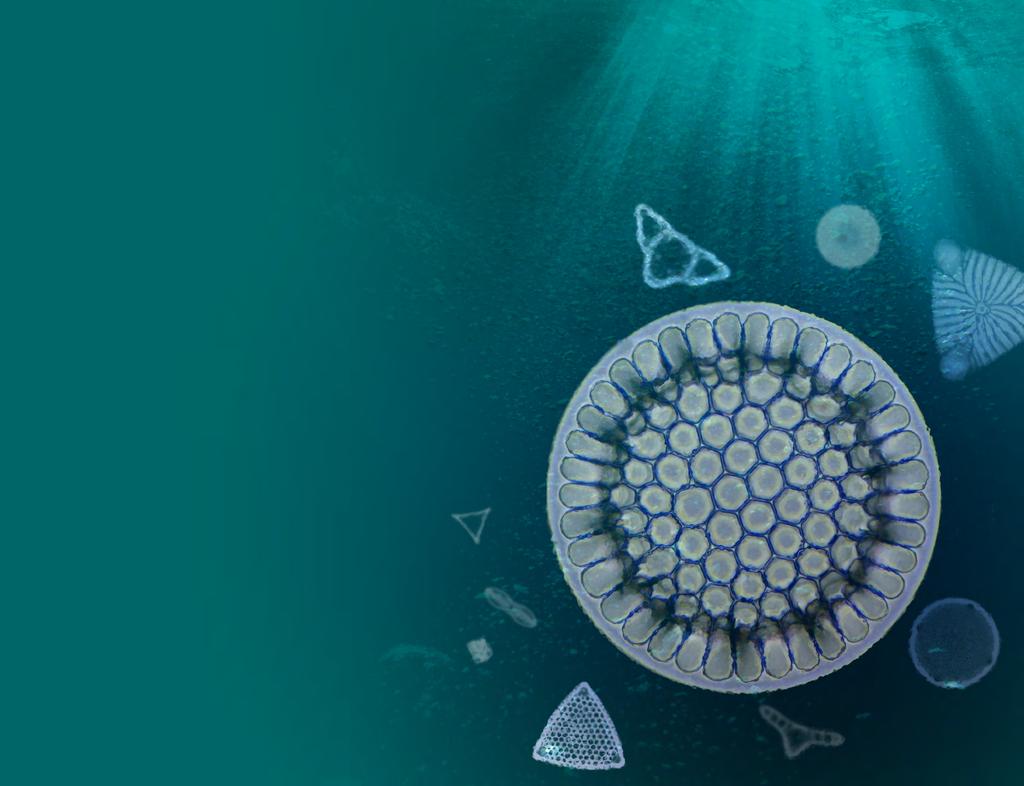 Tara Oceans Tara Oceans expeditions: expeditions: facts and facts figures and figures 35,000 samples Scientists on the expedition helped collect, pack and ship around 35,000 samples of plankton and