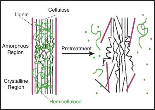 7 Figure 2.3 : Schematic of goals of pretreatment on lignocellulosic material.