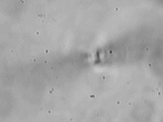 3 µm spot spacing, and the 9 µj line was scanned with a 2 µm spot