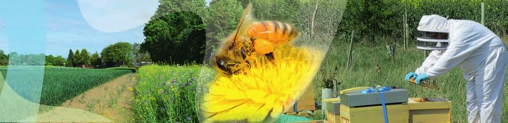 THE SCIENCE OF BEE TESTING AND PESTICIDE RISK ASSESSMENT 7 Higher-tiered testing may be complemented by other studies, including those that evaluate the amount of pesticide residues found in the