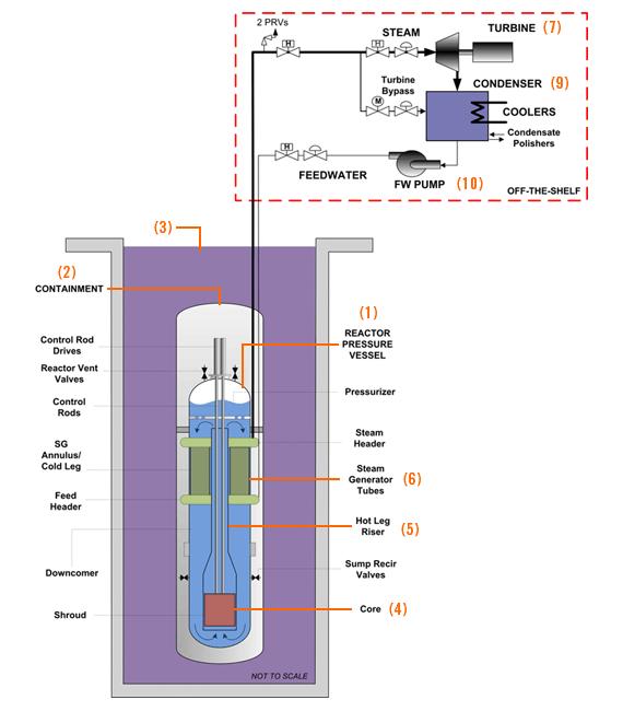 NuScale Primary System Steam Generators Containment Reactor Pressure Vessel Core Fuel is 17x17 about 6 feet in height;