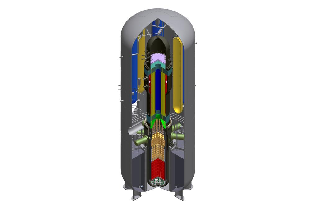 foot length of currently operating reactors RPV: 81 feet height, 11.