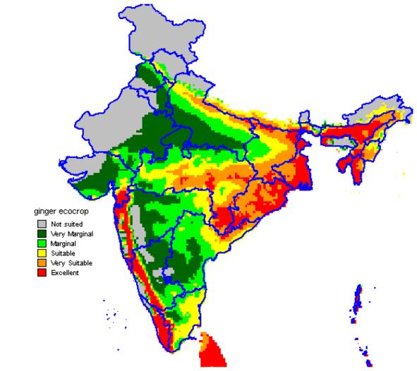 74 (a) (b) Figure 6.7: (a) Ginger site suitability map for India with current climate, (b) Ginger site suitability map for India with when temperature is likely to increase by 1.5 to 2 o C.