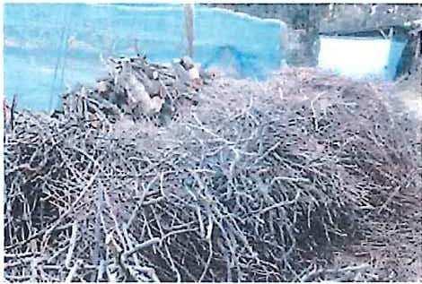 Carbonize pruning branches with the "Smokeless Carbonizer and reuse this as soil-improving charcoal in orchards, thereby increasing crop yield, improving the taste, and further reducing the amount of