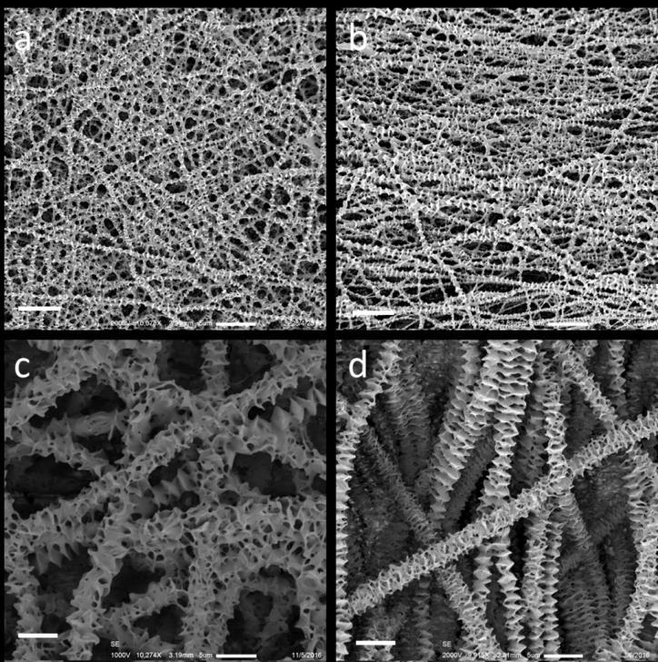 the PCL kebabs wrapped randomly around the fibers compared with PCL nanofibers and PCL lamellae were randomly orientated on the microfiber surface, but no clear classical shish-kebab structure was