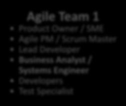 Product Owner / SME Agile PM / Scrum Master Lead Developer Business Analyst / Systems Engineer Developers Test
