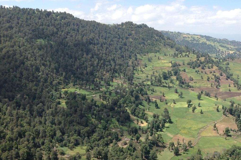 The Environmental Impact of EBA on Ethiopia Wubalem Tadesse