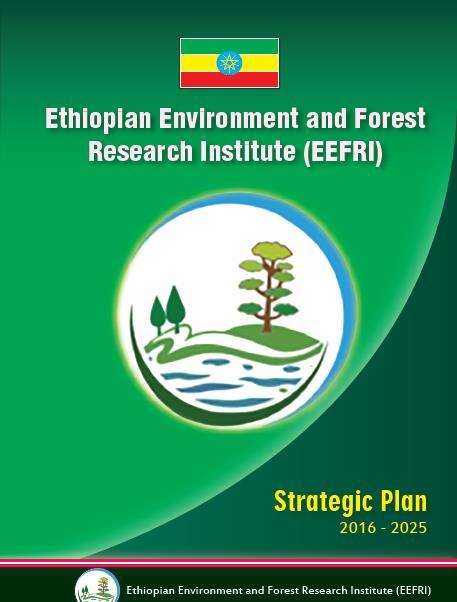 EEFRI strategy VISION To be a center of excellence in Environment, Forest