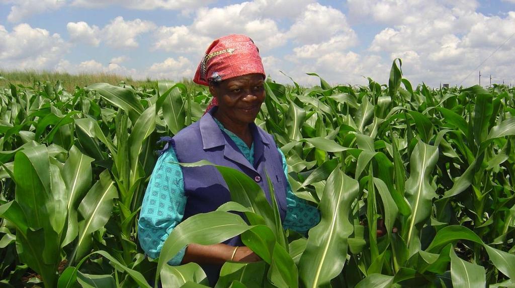 Crop Protection Stewardship Journey GAP Retailers Adoni Stakeholder