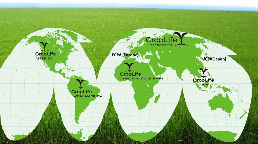 A Global Federation representing the Plant Science Industry in 91 countries Associations AfricaBio AgroBIO Mexico AgroBio Brazil BIO Production Agriculture Assoc CIB CBI Japan EuropaBio CropLife