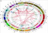 Medicinal Complexity: Integrating the Complex Layers of Biology and Evolution as Disease Progresses Genomics Proteomics Molecular Pathways and