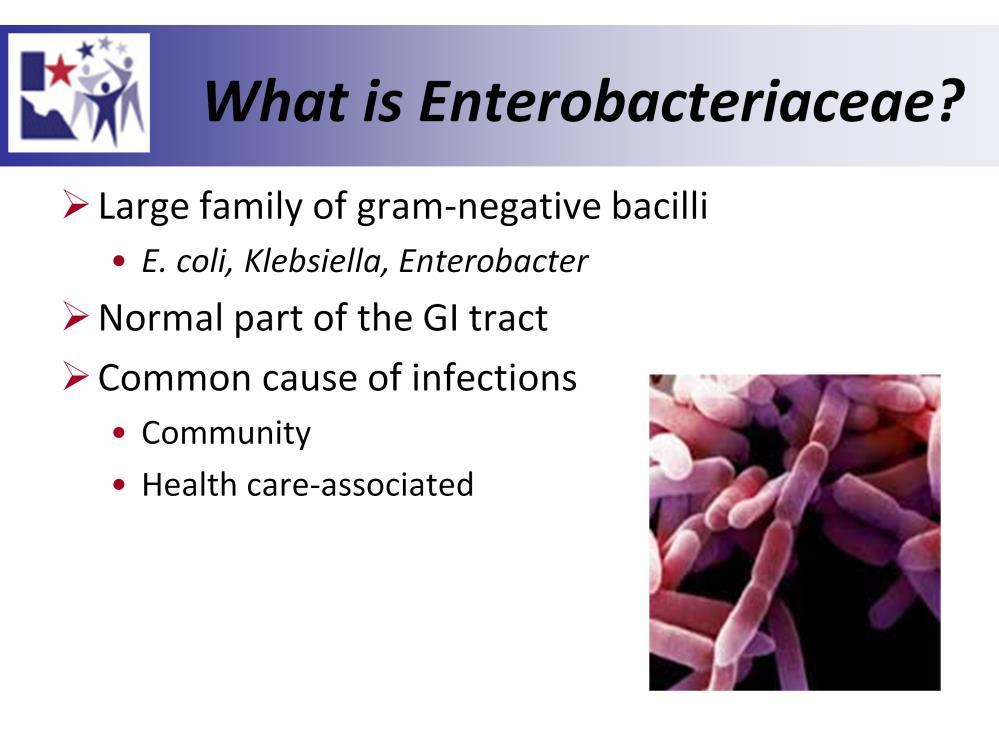 Enterobacteriaceae are a large family of bacteria that are a normal part of a person's digestive system (2).