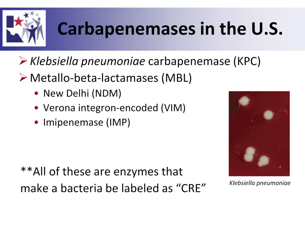 Now that we know how carbapenemases came to be, here are some of their names.