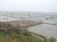 Suitability for freshwater pond culture was assessed for current subsistence production and a future scenario of semi-intensive production for the domestic market.