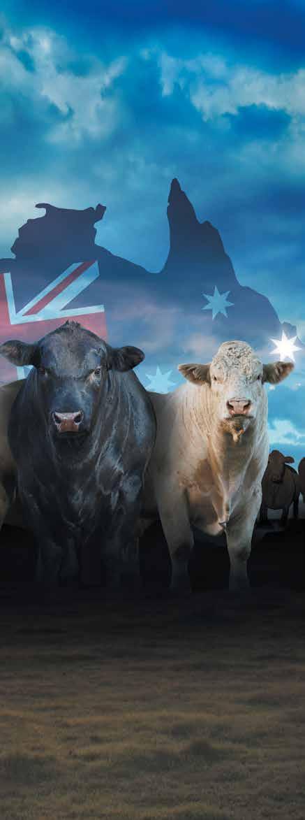 ANZ NATIONAL BEEF CARCASE COMPETITION SCHEDULE Nominations sought from across Australia